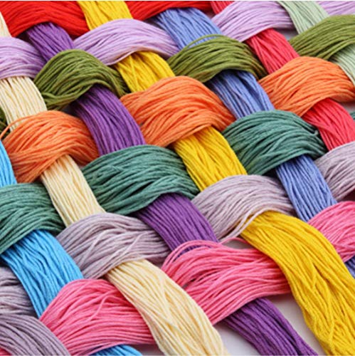 XZJXGZ Punto de cruz DIY Kit Enciclopedia de frutas 40X50Cm 14 CT Kits de bordado DIY patrones de punto animados contados de cruz para (Lienzo preimpreso)