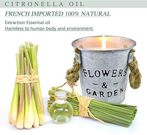 Yinuo Mirror Citronella Velas Perfumadas Paquete de 2, Velas Perfumadas de Cubo de Cera de Soja Natural de 430g, Juego de Regalo para Interiores o Exteriores, Jardín, Patio, Picnic para Acampar