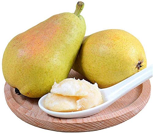 30 Semillas De Pera Perfumadas Decoran La Habitación Con Un Fuerte Aroma Fruta Jugosa Forma Hermosa Método De Cultivo Sencillo Añadir Una Vista A La Granja De Jardín