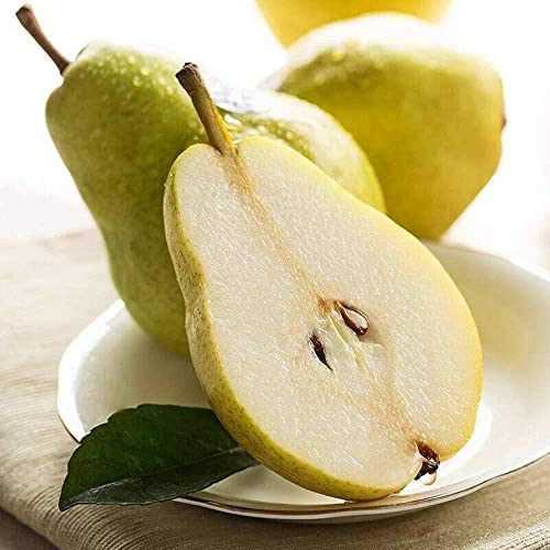 30 Semillas De Pera Perfumadas Decoran La Habitación Con Un Fuerte Aroma Fruta Jugosa Forma Hermosa Método De Cultivo Sencillo Añadir Una Vista A La Granja De Jardín