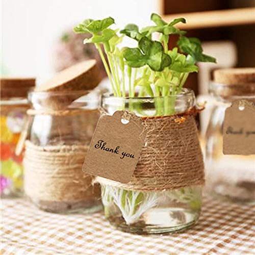 AmaJOY Paquete de 15 tarros de cristal con tapas de corcho, tarjeta de acompañante y cordel de boda, regalo de fiesta, botellas de cristal vintage, botellas de miel