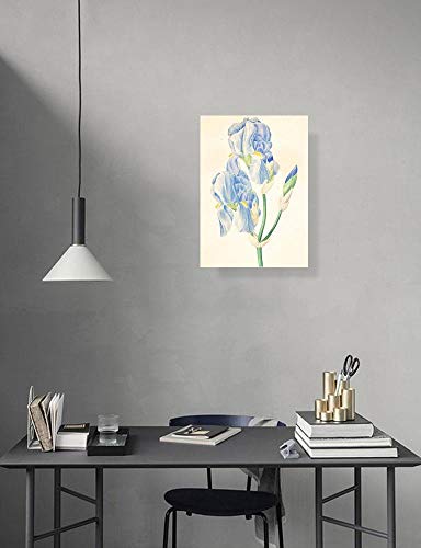 AMANUO Redoute Impresiones Pinturas Famosas sobre Lienzo Floral 35X50 cm Cuadros Enrollada - Iris Pallida
