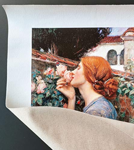 AMANUO Redoute Impresiones Pinturas Famosas sobre Lienzo Floral 35X50 cm Cuadros Enrollada - Iris Pallida