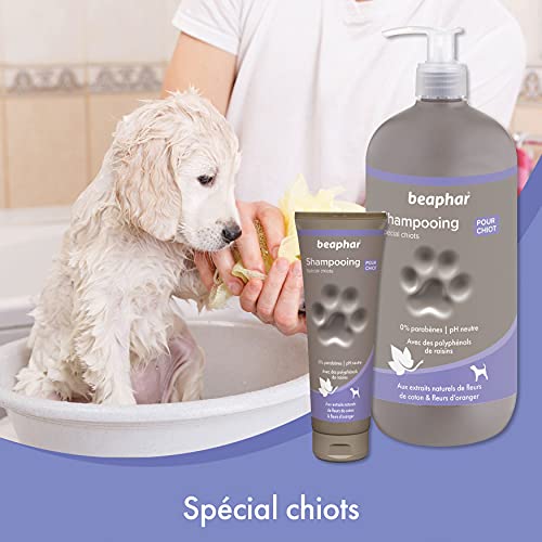 Beaphar Champú Alta Cosmética Cachorros, Un tamaño 250 ml 250 ml