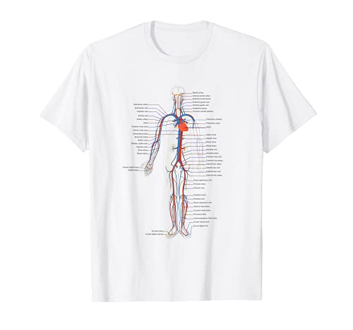 Biología - Arterias y venas del cuerpo humano - Presentación de clase Camiseta