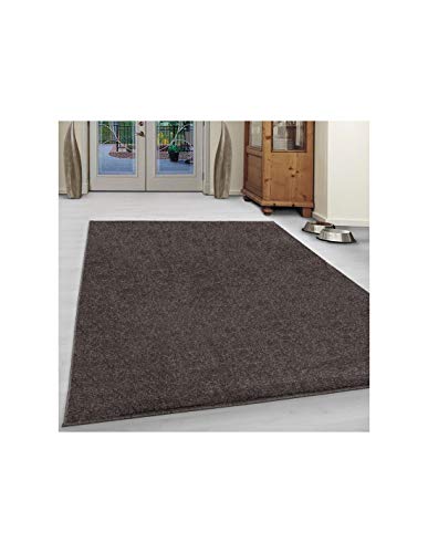 Carpet 1001 La Sala de Estar Alfombra, Pelo Corto Moderno Monocolor Modelo Uni Favorable para Ti. Colores - Mocca, 200x290 cm