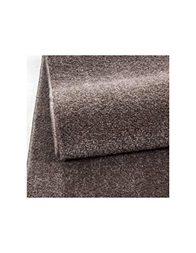 Carpet 1001 La Sala de Estar Alfombra, Pelo Corto Moderno Monocolor Modelo Uni Favorable para Ti. Colores - Mocca, 200x290 cm