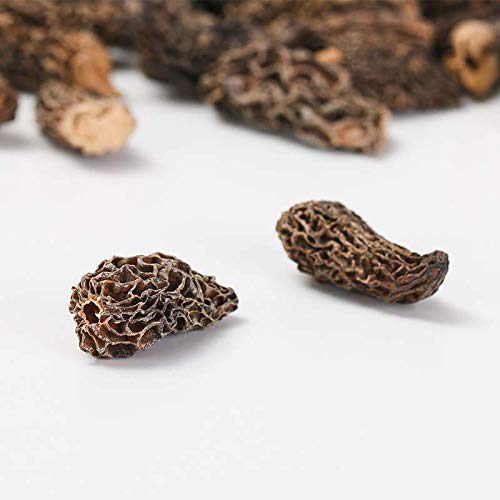 Champiñones secos de Morillas silvestres por hongos chinos de Yunnan Gourmet Morel Diferentes tamaños de Morillas disponibles 2 oz