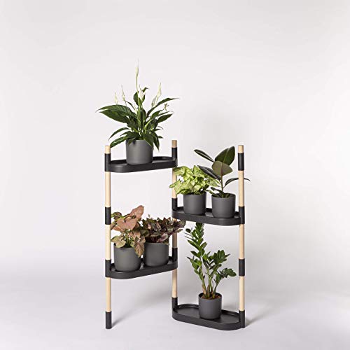 Citysens - Estantería para Plantas, Negro, 4 Bandejas