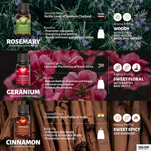 COOLCOW Relax & Good Nite - 4 Aceites Esenciales de 15 ml, 100% Puros Calmantes Para Difusores de Aromaterapia, Aceites Esenciales de Lavanda, Manzanilla, Madera de Cedro, Incienso - Alivio Del Estrés
