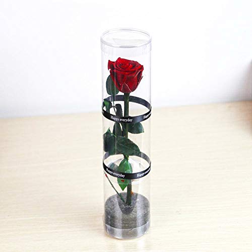 Dewanxin Rosa Eterna,Rosa Natural Preservada,para Decoración del Hogar Boda San Valentín Día de la Madre Navidad Aniversario Cumpleaños - Roja (Deep Red)