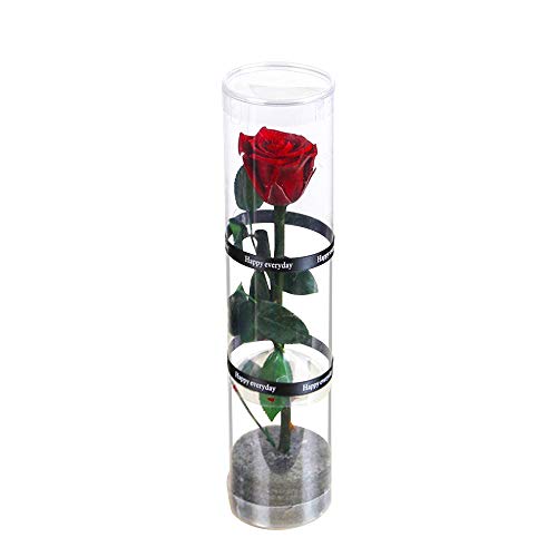 Dewanxin Rosa Eterna,Rosa Natural Preservada,para Decoración del Hogar Boda San Valentín Día de la Madre Navidad Aniversario Cumpleaños - Roja (Deep Red)