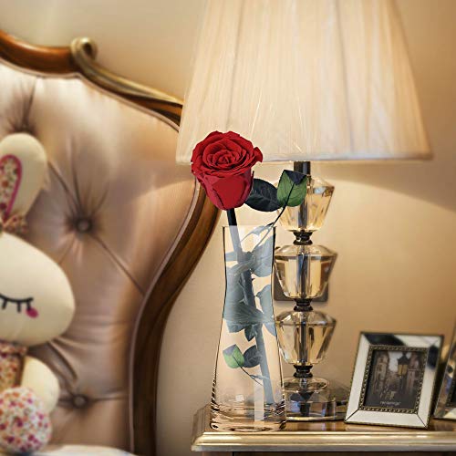 Dewanxin Rosa Eterna,Rosa Natural Preservada,para Decoración del Hogar Boda San Valentín Día de la Madre Navidad Aniversario Cumpleaños - Roja (Deep Red)
