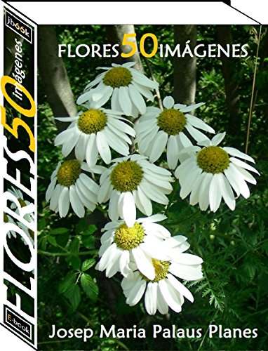 Flores (50 imágenes)