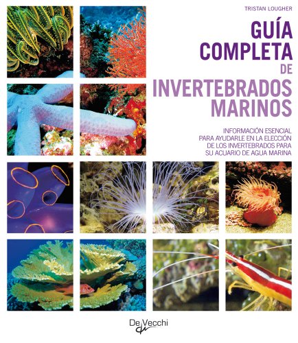 Guía completa de invertebrados marinos (Animales)