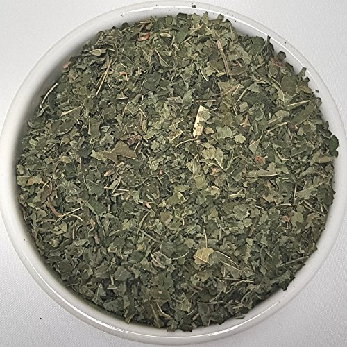 Health Embassy Avellanos Hoja (Corylus L) / Hazel Leaf, 100g