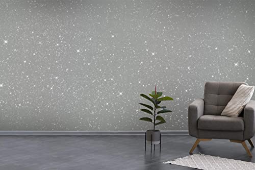 Hemway brillo PAINT ADITIVO - Plata holográfica de fibra / 100 g