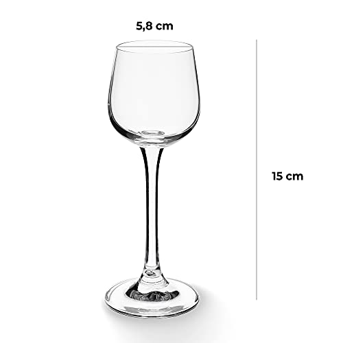 KADAX Vasos de vodka con mango, 60 ml, juego de 6 vasos para vodka, licor y alcohol colorido, vasos de té, vasos de chupito (60 ml, 6 unidades)