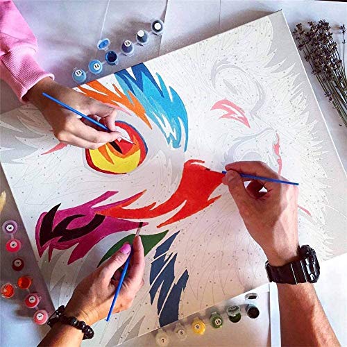 Komking Pintura por números para adultos, kit de pintura por números en lienzo, gato mágico 40,6 x 50,8 cm