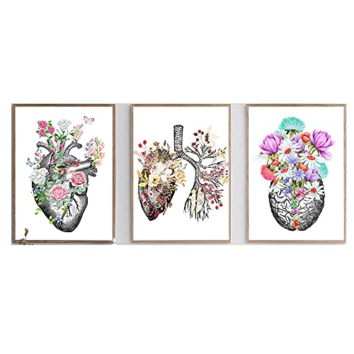 LTXMZ AnatóMico óRgano Vintage Poster Humano AnatomíA Imprimir Pintura Cerebro CorazóN PulmóN AnatomíA Poster Flor Pared Arte Cuadro MéDico Decoracion 30x42cmx3 No Marco