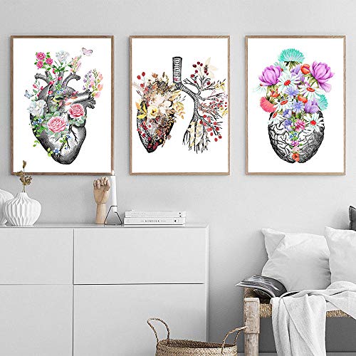 LTXMZ AnatóMico óRgano Vintage Poster Humano AnatomíA Imprimir Pintura Cerebro CorazóN PulmóN AnatomíA Poster Flor Pared Arte Cuadro MéDico Decoracion 30x42cmx3 No Marco