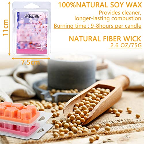 MAISITOO Cubos de Cera 8 Paquetes 100% Cera de SOYA Derretida de Fragancia Cera se Derrite Velas para Fragancias de la Habitación Aromaterapia Quemador de Incienso con Bloque de ​Cera Set de Regalo