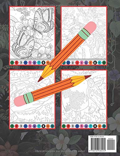 MISTERIO COLORES COLOREAR POR NÚMERO Y DESCUBRIR LA MAGIA!: Animales para aliviar el estrés Colorea por número Libro para colorear para adultos Mystery Color (Regalo para adultos, adolescentes)