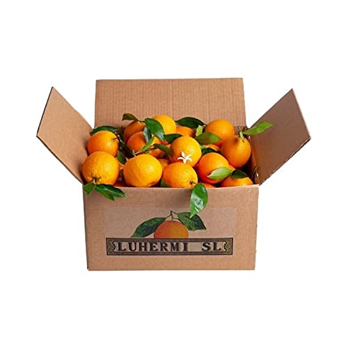 Naranjas maduras para zumo, 20kg con la dulzura apropiada.