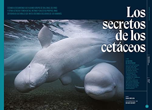 National Geographic # 485 | Los Secretos de los Océanos