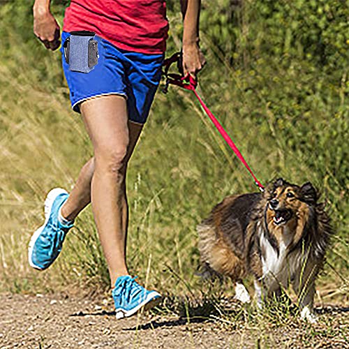 NETT 2PCS Bolsa de Comida para Perros,Bolsade Aperitivos para Mascotas,Bolsa de Entrenamiento para Perros,Bolsa Premios Perro Resistente al Agua