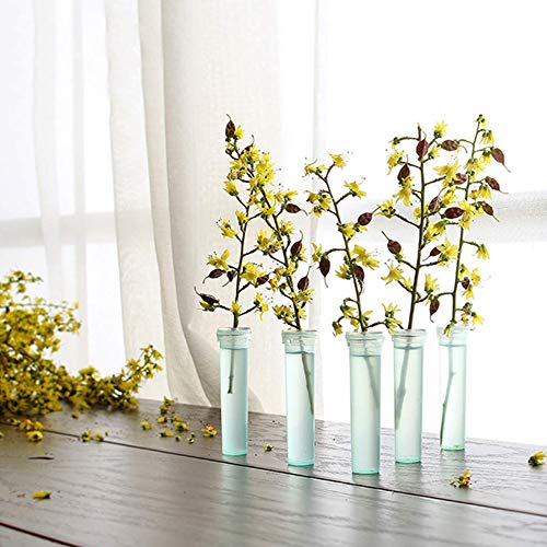 Nuluxi Flores Tubos de Agua de Plástico Transparentes Floristería Flor Contenedor De Agua Tubo De Flores Suministros Florales para Flores, Floristería, Arreglos Florales y Plantas Hidropónicas (7cm)