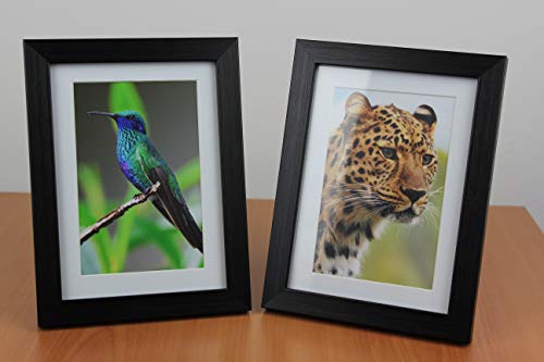 PPD Inkjet - 4 x 6” (aprox. 10 x 15 cm) x 100 Hojas de Papel Fotográfico Brillante 260 g/m² - Calidad Profesional - Secado Instantáneo - Para Impresión de Inyección de Tinta - PPD-27-100