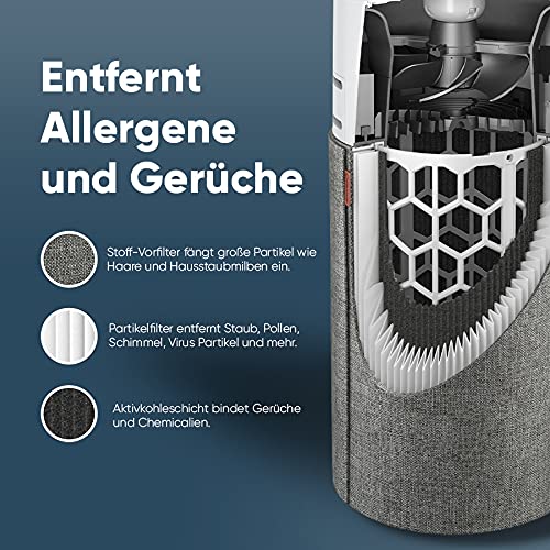 Purificador de aire Blueair 3210 (para habitaciones de 17 m², tecnología HEPASilent, purificación del aire para gérmenes, alérgenos, polvo, etc.)