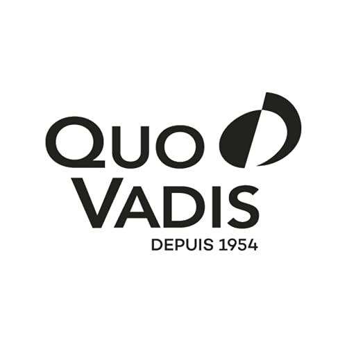 Quo Vadis Matisse Icaro - Cuaderno de notas 15