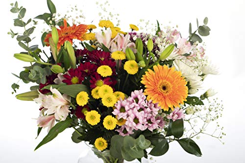 Ramo de Flores Variadas Multicolor | ENTREGA GRATIS 24 HORAS | Flores Naturales a Domicilio Blossom® | Ramo Flores Frescas y Recién Cortadas a domicilio