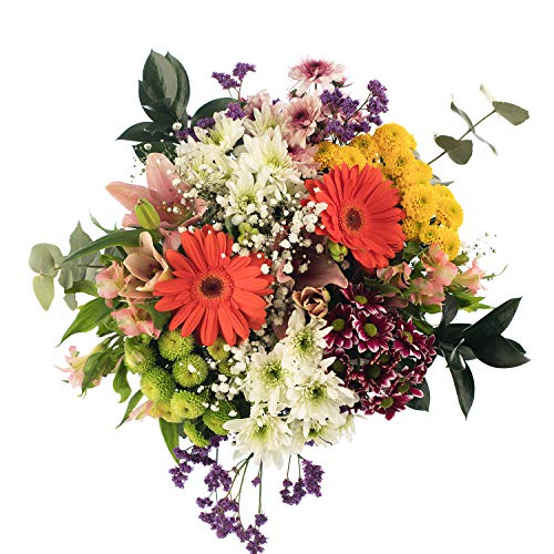 Ramo de Flores Variadas Multicolor | ENTREGA GRATIS 24 HORAS | Flores Naturales a Domicilio Blossom® | Ramo Flores Frescas y Recién Cortadas a domicilio
