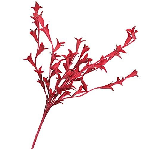 rituales Domésticos – Flora Rojo Oro tuberosa Altura. 117 