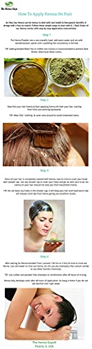 Tinte/tinte para cabello y barba con henna 100 gramos - Color de cabello sin químicos - The Henna Guys (1 Pack, Dark Brown)