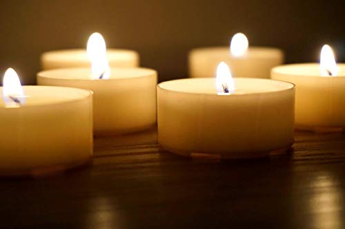 Velas Naturales en Taza Compostaje 80 Luces de Té Compostaje Industrial Candelitas Cera de Colza Luces Sin Perfume Sin plástico (80 Candelitas - 6 Horas)