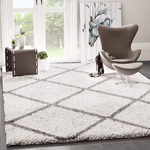 VIMODA Alfombra Prime Tipo Shaggy de Pelo Largo en Color Gris, alfombras Modernas para el salón y el Dormitorio, Monocolor, Maße:160x220 cm