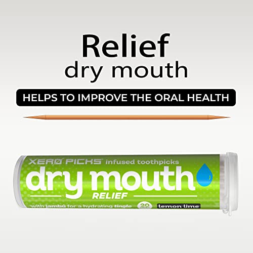Xero Picks palillos de dientes de sabor para el aliento fresco y la prevención de la sequedad de boca, Palillos de dientes de madera 20 púas (1 paquete) (Lemon Lime)