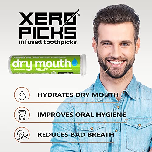 Xero Picks palillos de dientes de sabor para el aliento fresco y la prevención de la sequedad de boca, Palillos de dientes de madera 20 púas (1 paquete) (Lemon Lime)