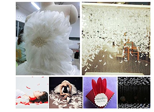 100 plumas de ganso blanco puro de 15 a 9 pulgadas de color blanco puro, accesorios de manualidades para manualidades de jardín de infancia grandes plumas para el hogar, bodas