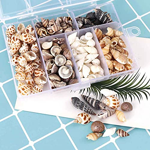 100 Pzs Conchas En Espiral De 6 Estilos, Conchas De Mar Conchas De Playa Mixtas, Conchas De Mar Decoracion, Caracolas De Mar Para Joyas, Pulseras, Manualidades, Acuario Y Relleno De Jarrones