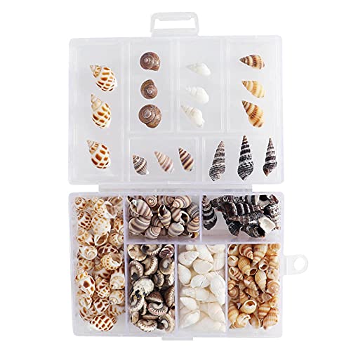 100 Pzs Conchas En Espiral De 6 Estilos, Conchas De Mar Conchas De Playa Mixtas, Conchas De Mar Decoracion, Caracolas De Mar Para Joyas, Pulseras, Manualidades, Acuario Y Relleno De Jarrones