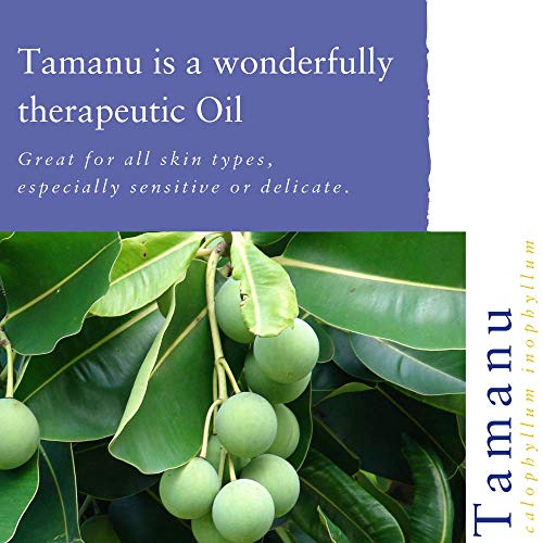 Absolute Aromas Aceite de Tamanu 150ml - Puro, Natural, Sin refinar, Prensado en Frío, Sin Crueldad Animal, Vegano, Sin OGM - Hidratante natural para la piel, el cabello y las uñas