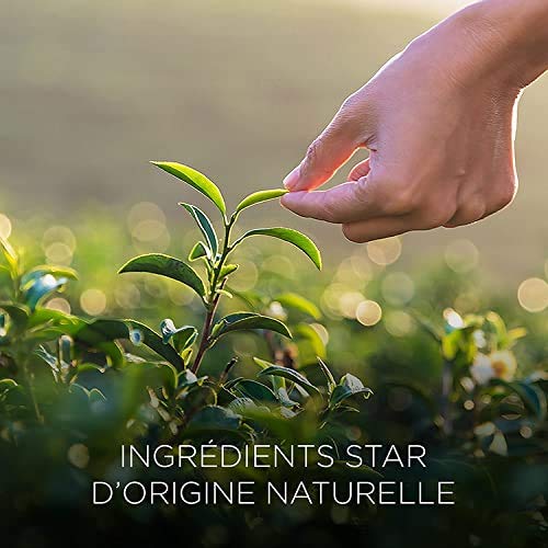 Air Wick Botanica Désodorisant Maison Diffuseur Electrique + 1 Recharge d'Huile Essentielle de Vétiver/Bois de Santal 19 ml