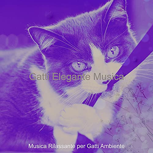 Ambiente Elegante