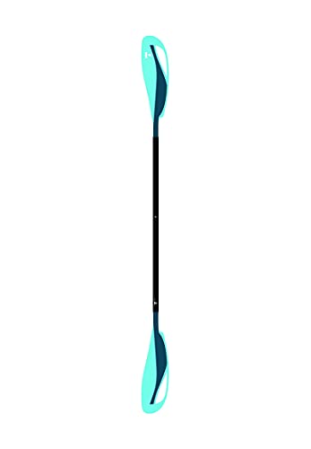 BIC Sport Tahe Vario 30 Breeze - Remo para kayak (aluminio, 220 cm)