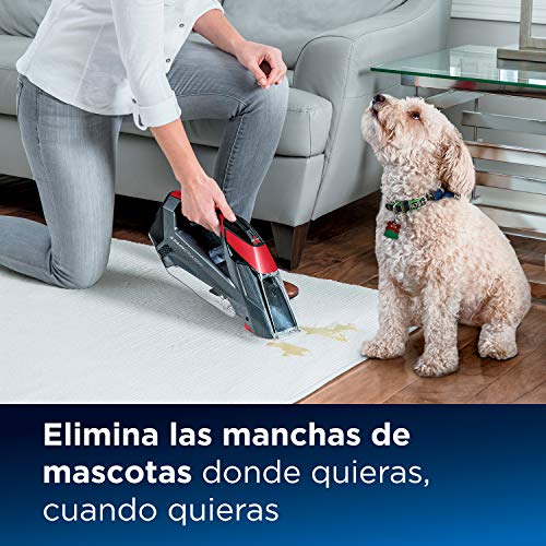 Bissell 2005N Stain Eraser - Borrador de Manchas, 763 milliliters, 76 Decibelios, Titanio/Rojo